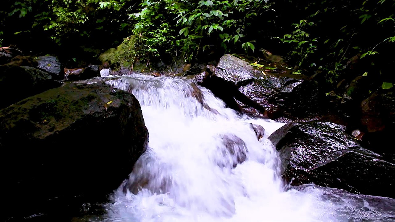 Peaceful Mountain River Water Flow Sounds for Relaxation and Quiet Moments
