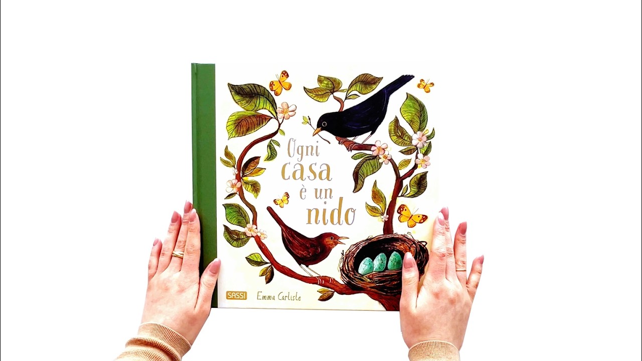 Sassi Junior. Libri illustrati - Ogni casa è un nido