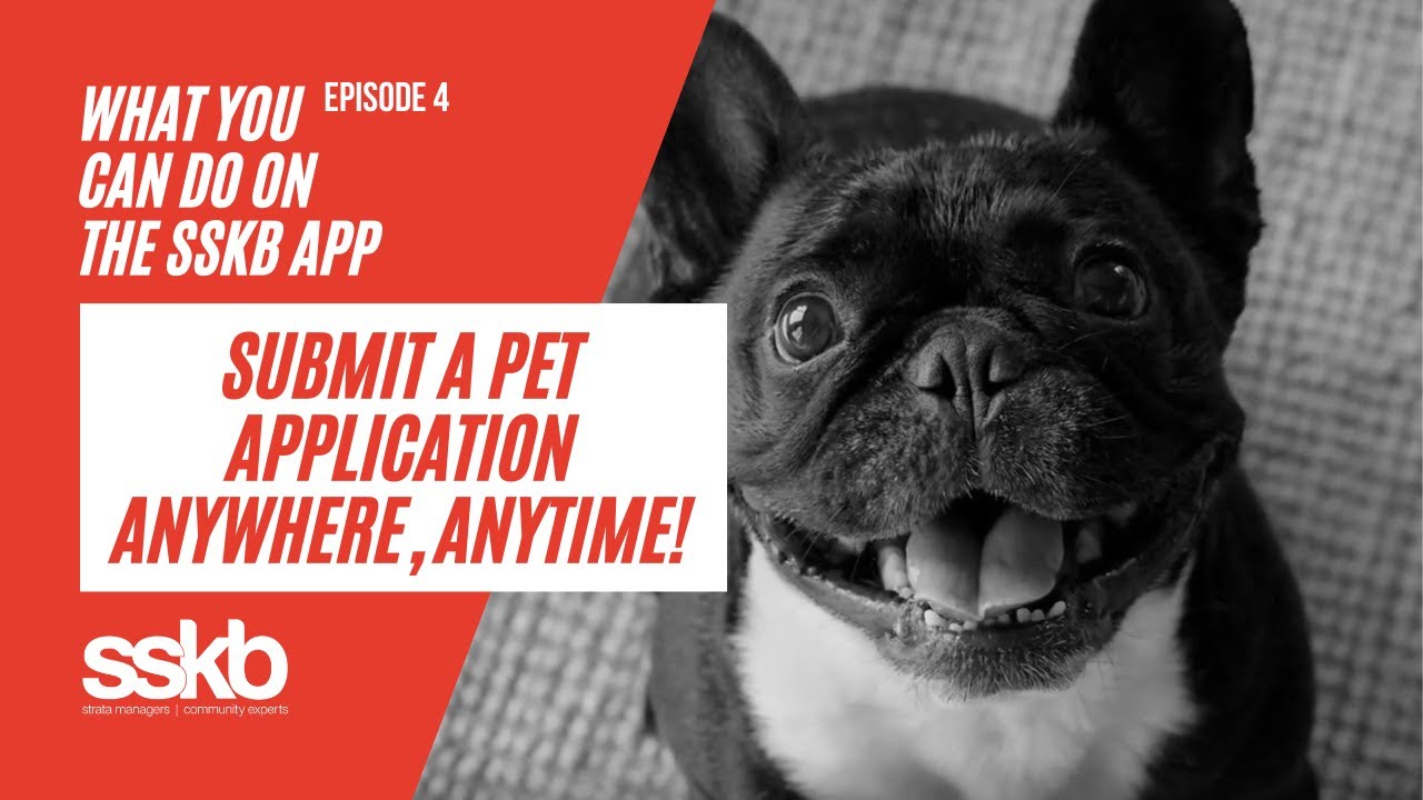 SSKB App Series Episode #4: Submit a Pet Application