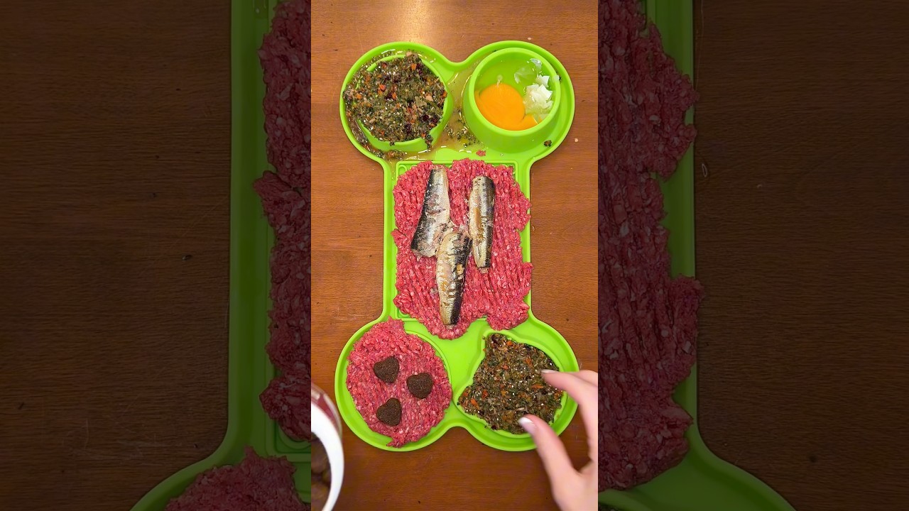 Здоровый домашний корм для Райли 🥩🐕 #шорты #собака