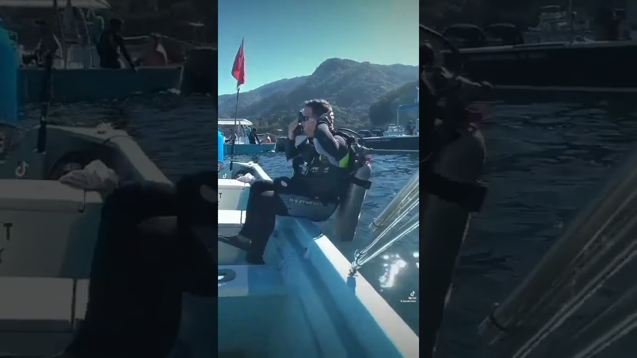 Buzo al agua #scubadiving #divinglife #letsgodiving #travel #diving #ocean