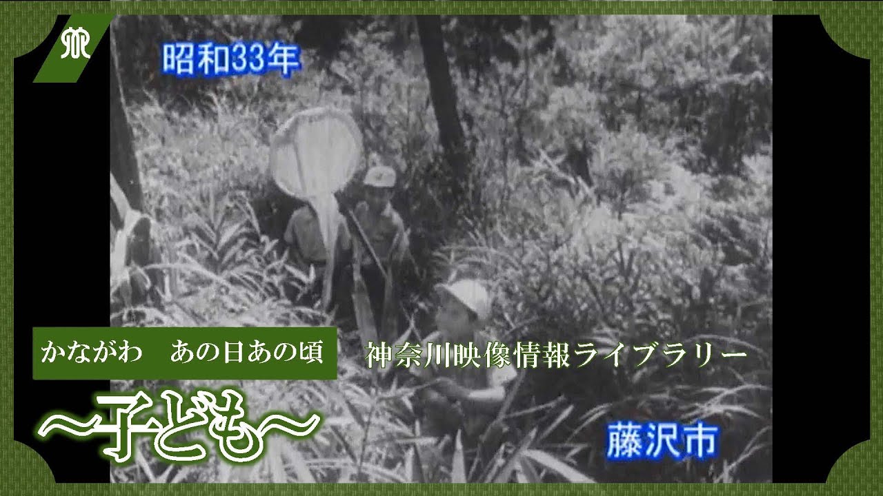 かながわ映像情報ライブラリー かながわ あの日あの頃～子ども～