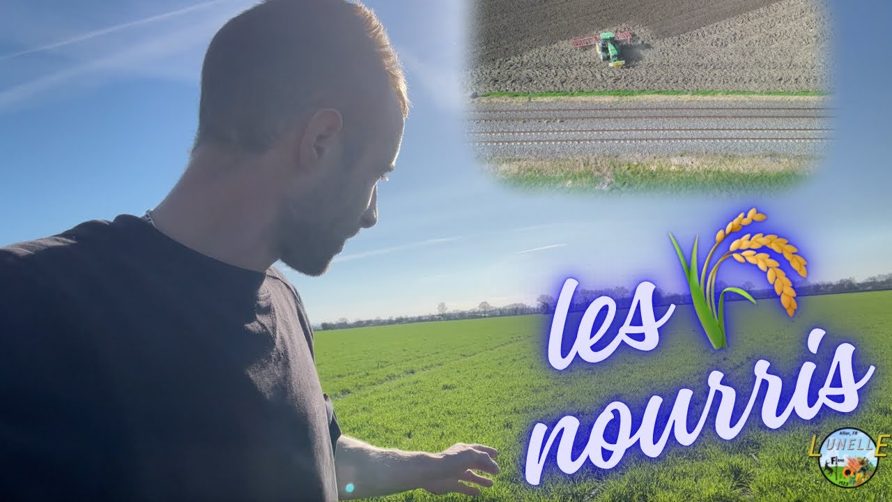 Préparation 🌻 et 🌽 début - fertilisation des blés les plus vilains ! #320