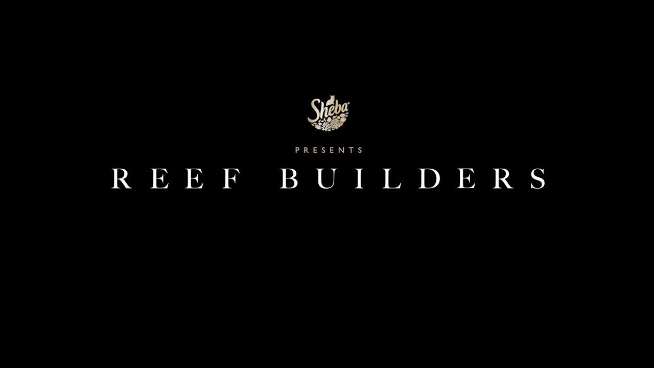 Reef Builders Trailer
