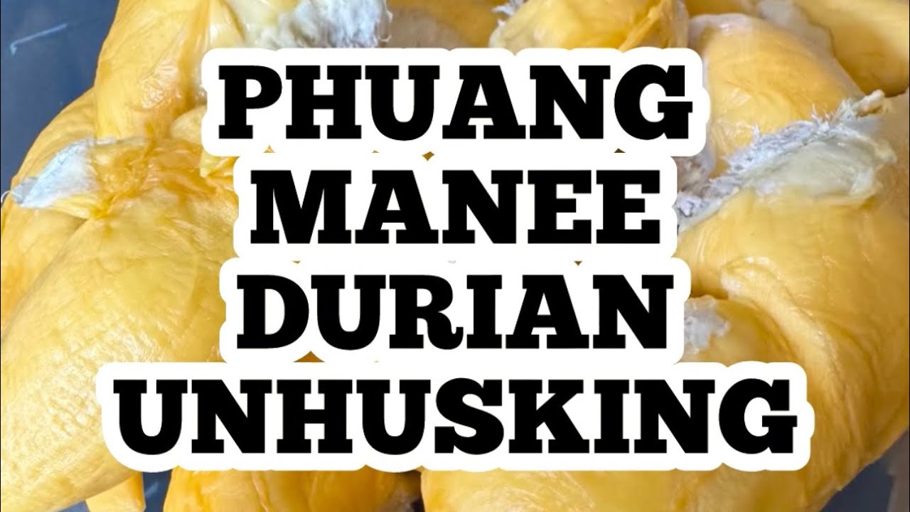 Очистка дуриана от кожуры (PHUANG MANEE DURIAN UNSHOKING)