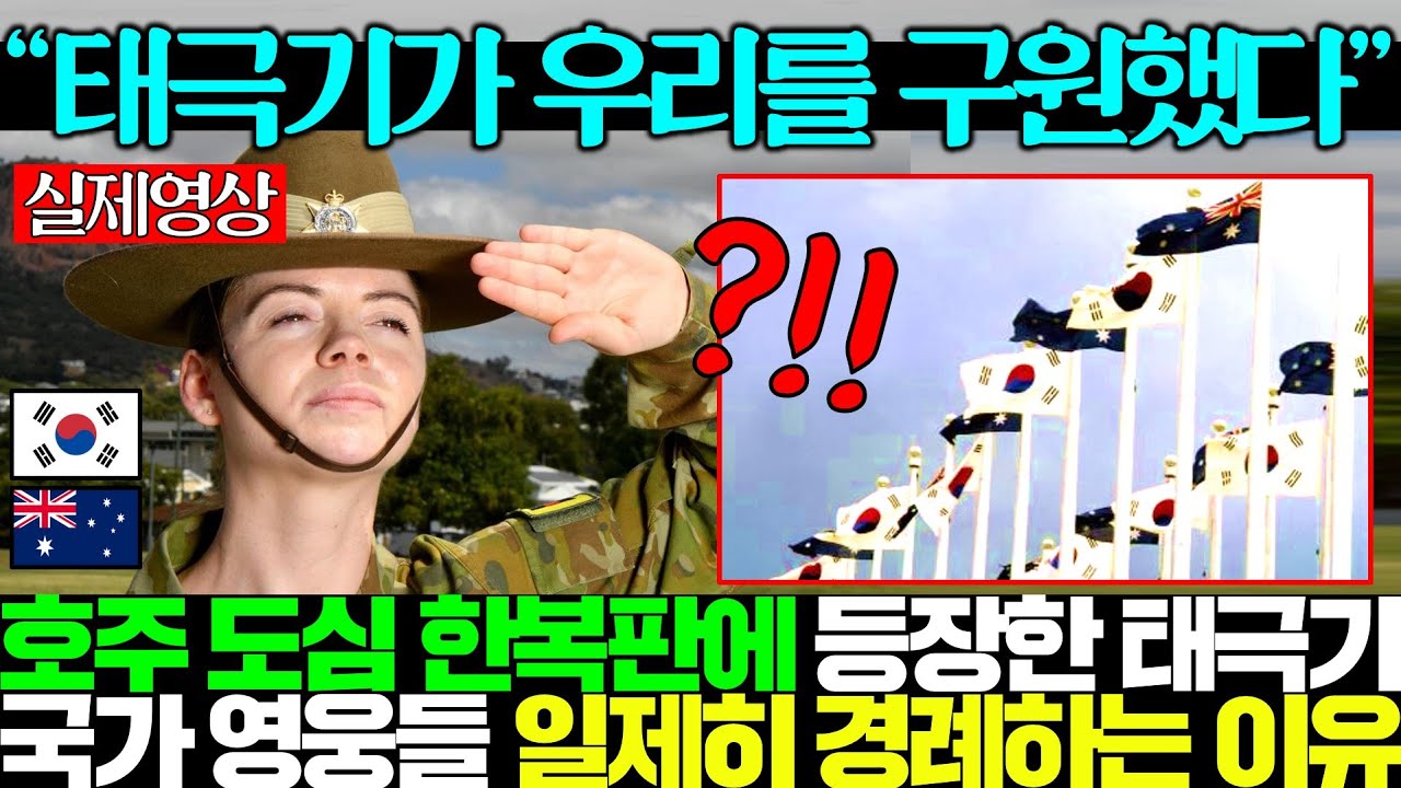 호주 도심 한복판에 등장한 태극기에 국가 영웅들이 일제히 경례하자 중국 열등감 폭발함..ㄷㄷ