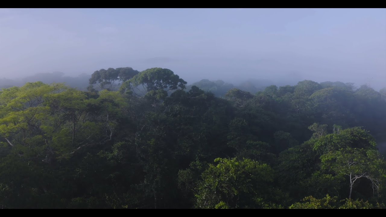 A True Paradise: Overcoming Paralysis