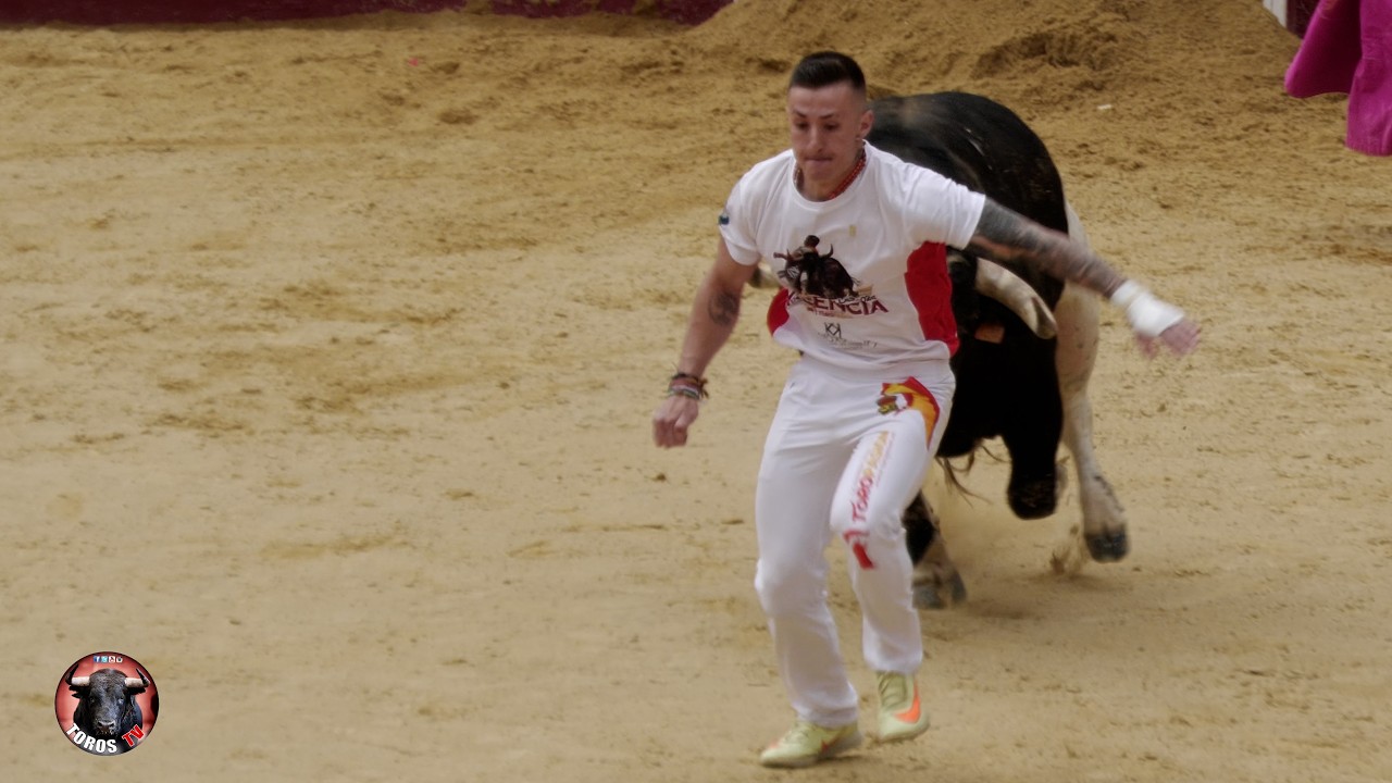 Espectaculares Imagenes (¡Concurso Espectacular!) #toros #torostv #toro #bull