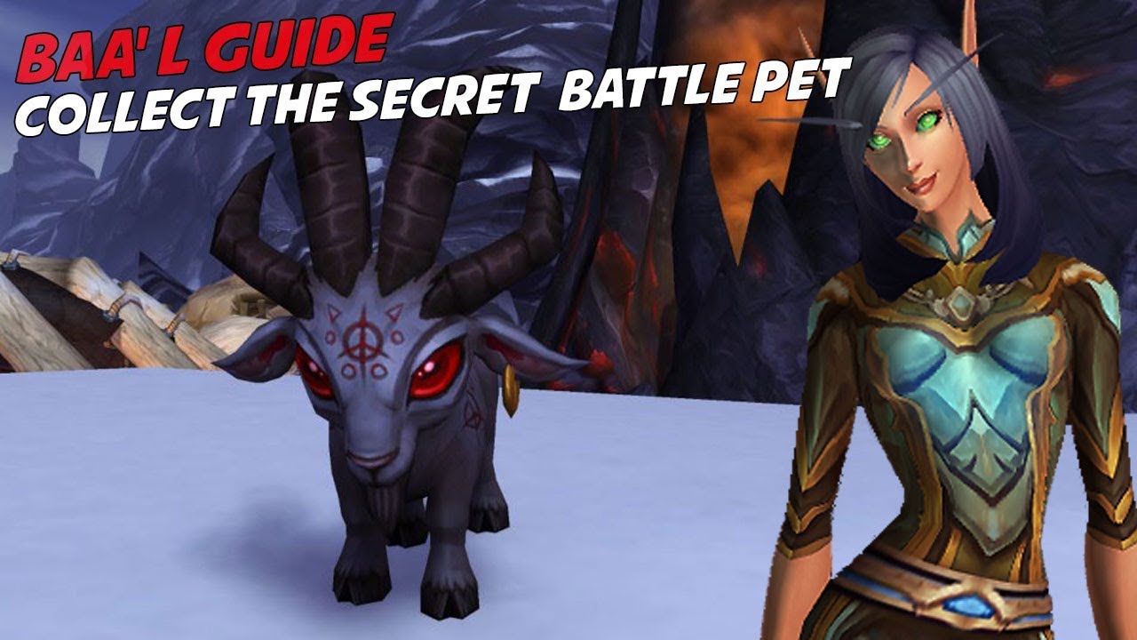 Baa'l Complete Guide - Secret Battle Pet