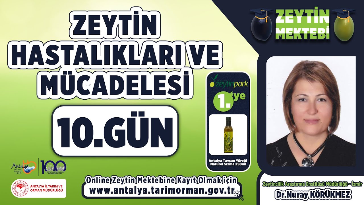 Zeytin Hastalıkları ve Mücadelesi 10.Gün
