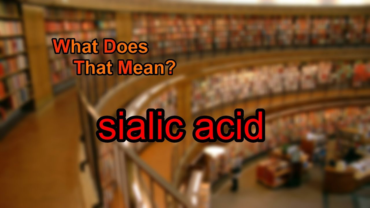 What does sialic acid mean?