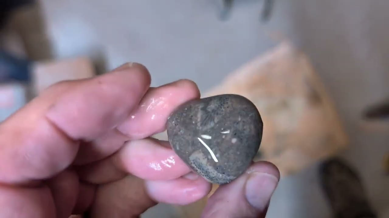 Petoskey Stones gathered with Julia from Lake Huron