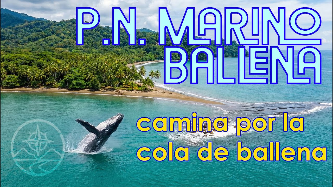 Marino Ballena & Uvita: playas, selva y, por supuesto, ballenas!