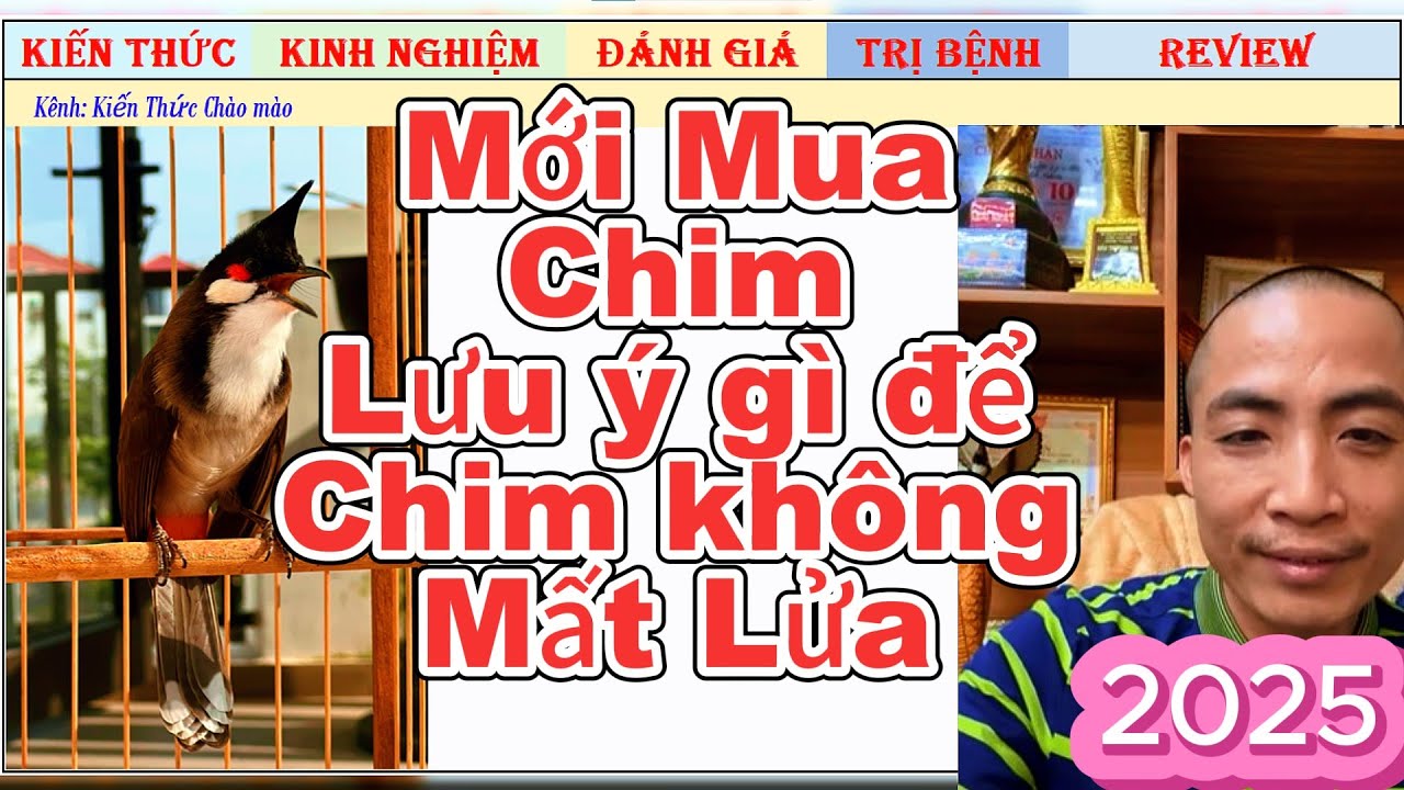 Mới Mua Chim? Những Lưu Ý Khi Chim Đổi Chủ Để Tránh Mất Lửa!