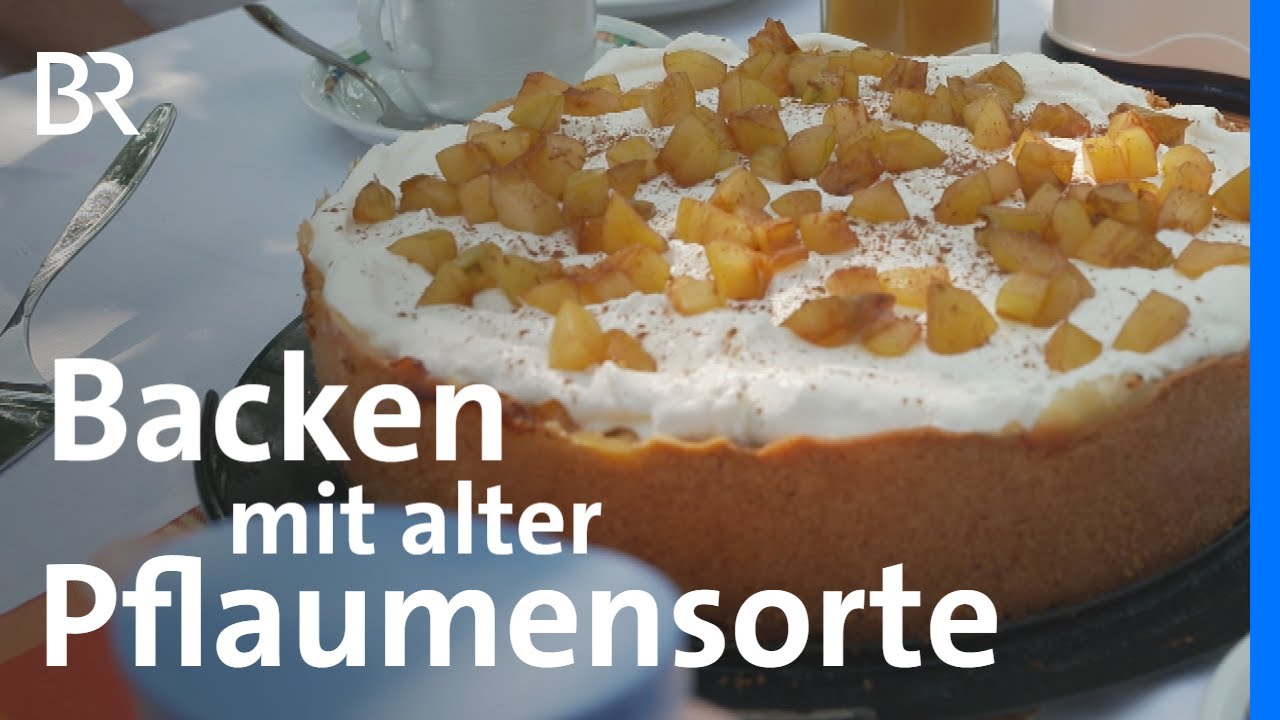 Haferlgucker: Alte Pflaumensorte Weidenberger Spindling | Zwischen Spessart und Karwendel | BR
