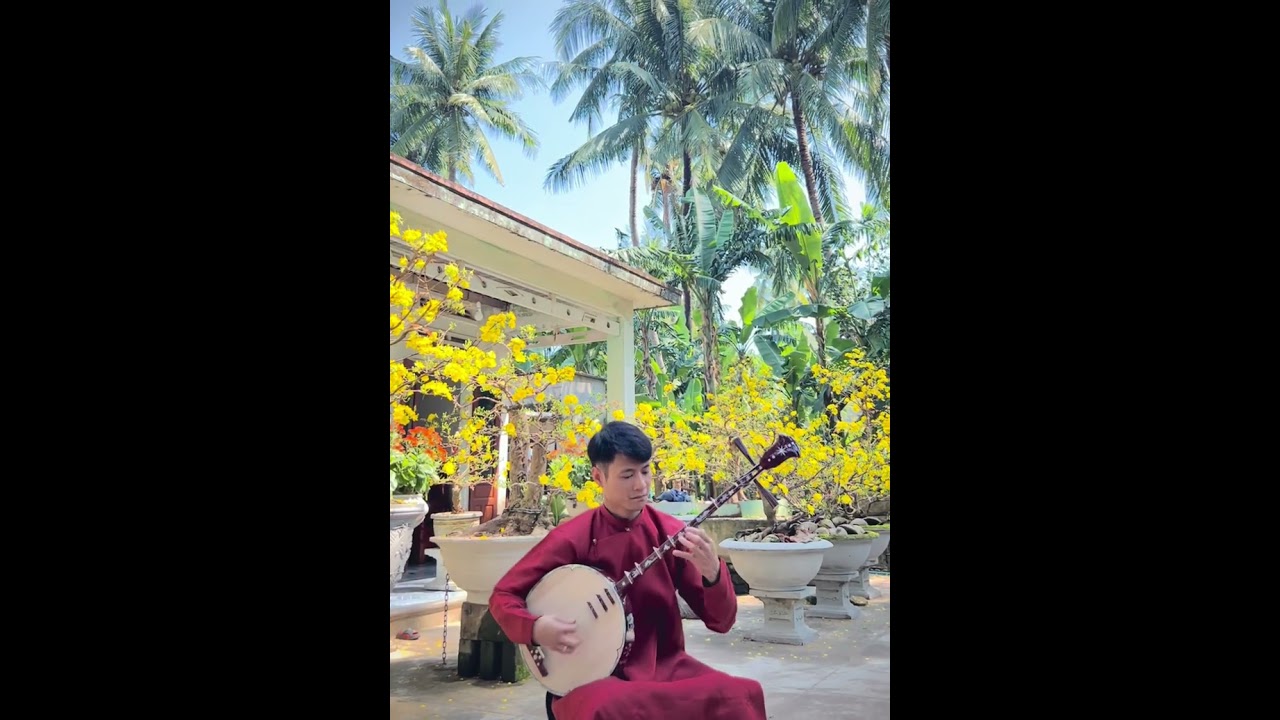 Cảm xúc quê hương, đàn Nguyệt cực hay