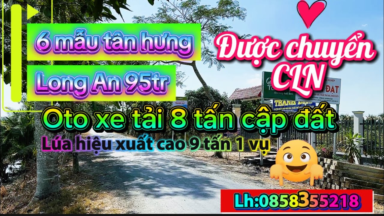 ((950) 6 mẫu đươc chuyển CLN 950tr cho 10000m2 xe 8 tấn cập đất lh0858355218#batdongsan 