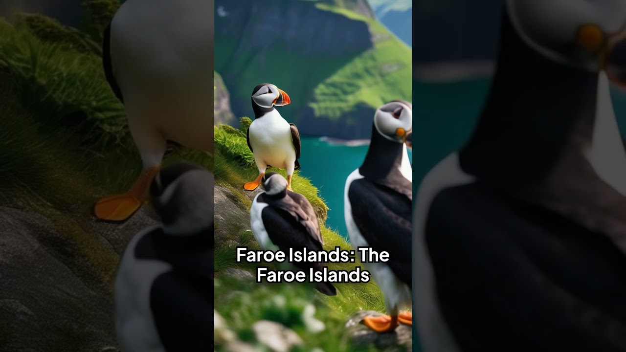 5 Most Interesting Geography Facts #geographyfacts #geography #5facts #denmark #armenia #southkorea