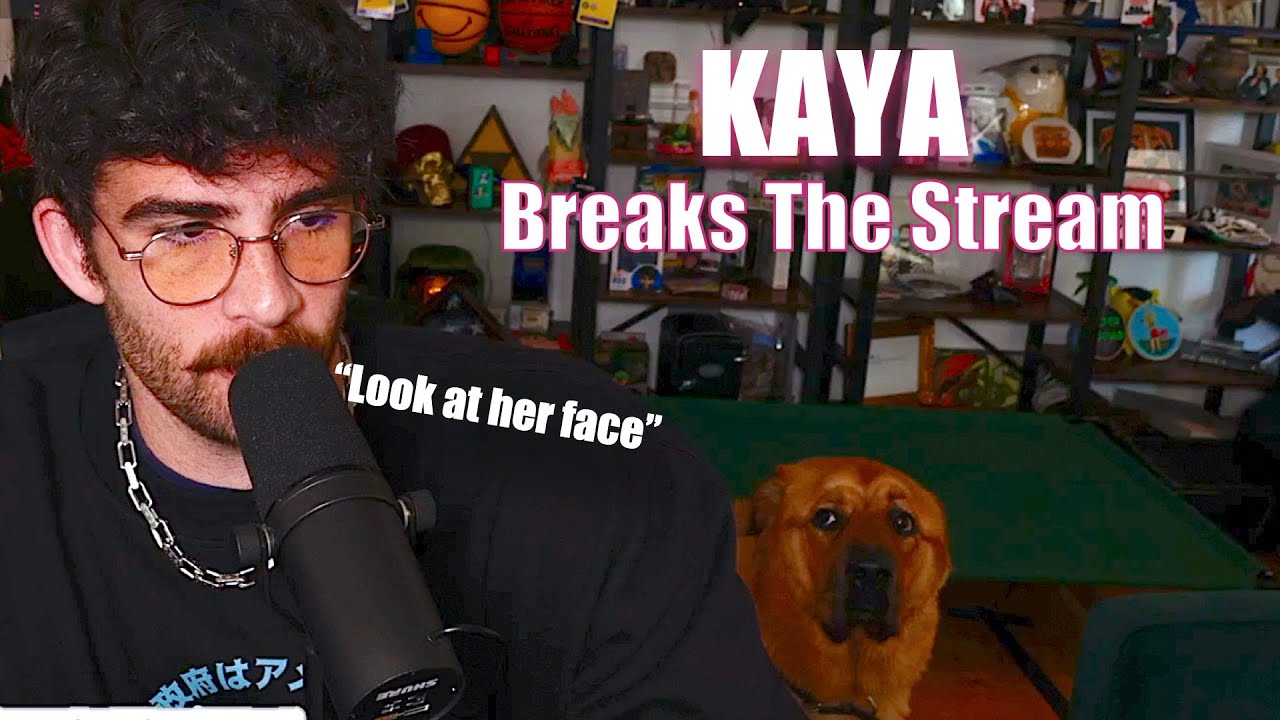 Hasan's' Puppy Kaya Breaks The Stream | HasanAbi Reacts