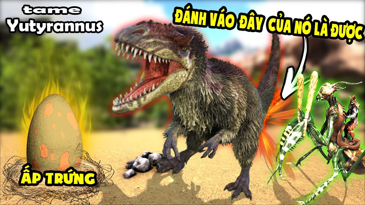 SĂN BẮT VÀ ẤP TRỨNG LOÀI BẠO CHÚA CÓ LÔNG Yutyrannus -Tame Yutyrannus - ARK:Ragnarok # 28 TÝ TIỀN TỈ
