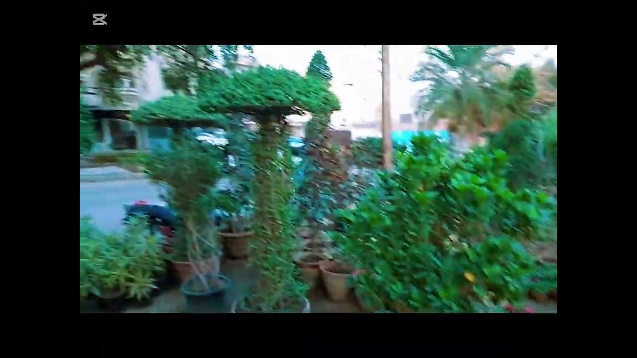 Yah nursery Karachi shahidi millat road per maujud hai
