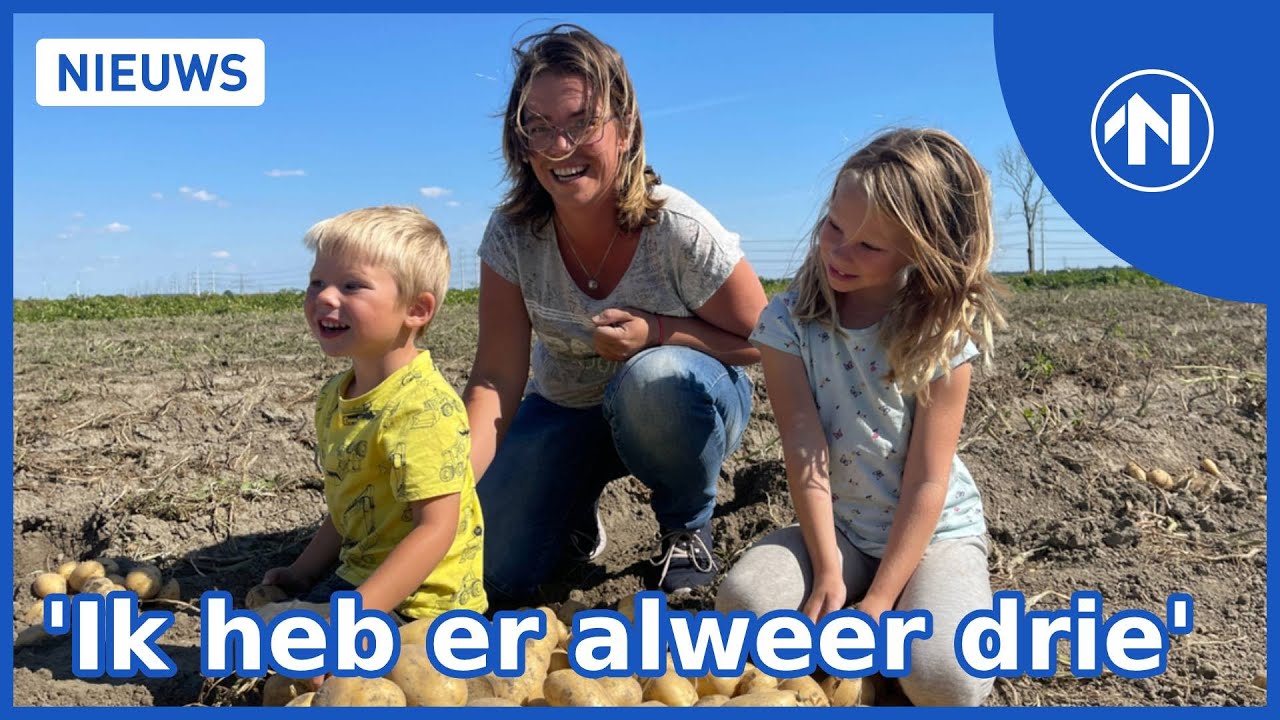 Zelf aardappels rooien bij de boer: 'Hartstikke mooi om te zien!'