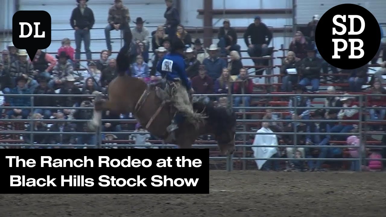 Ранчо-родео на выставке Black Hills Stock Show | Dakota Life