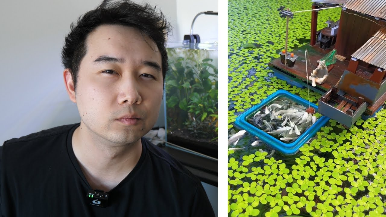 these Fish Tank videos will SURPRISE you | Fish Tank Review 313