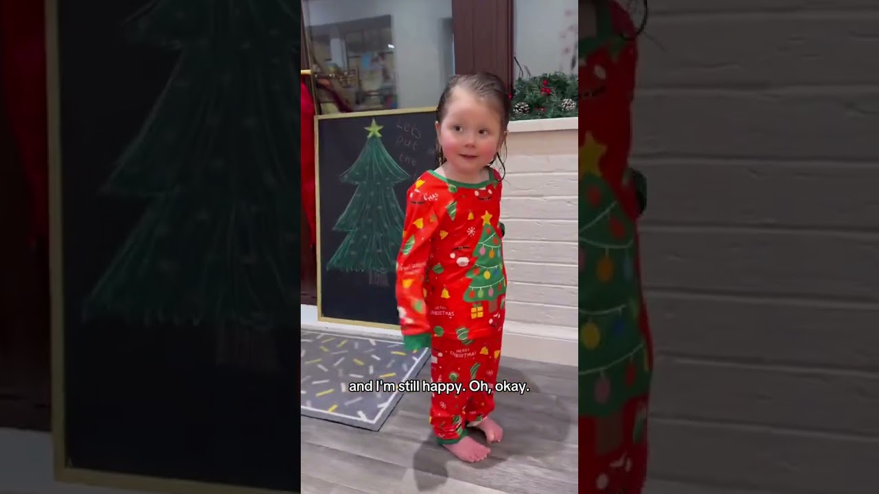 Goodbye Elves Until Next Christmas ❤️