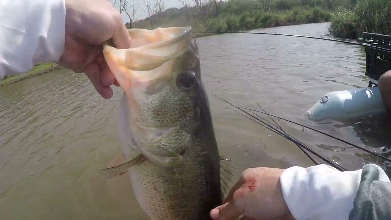 Popper Dropper!!!! persistence pays off big at Hazelmere dam.....