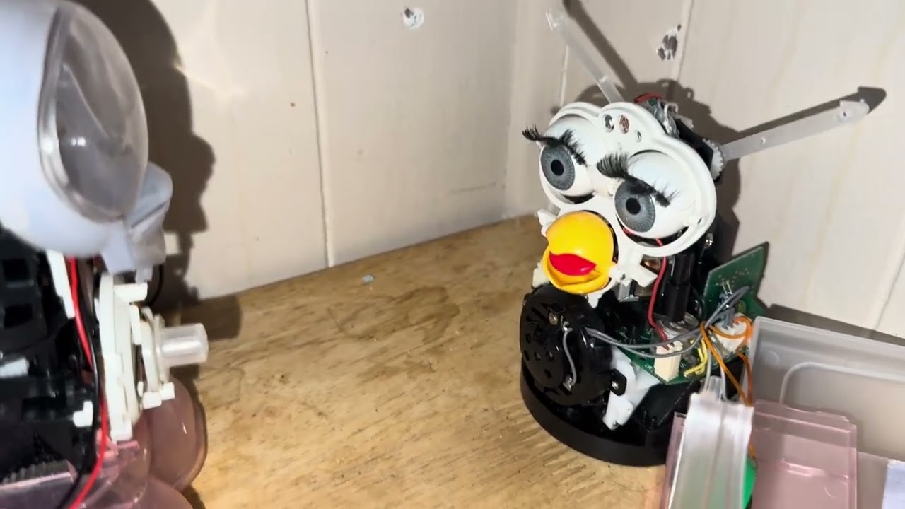 Furbish and Robonagi Interacting (after new speakers!)