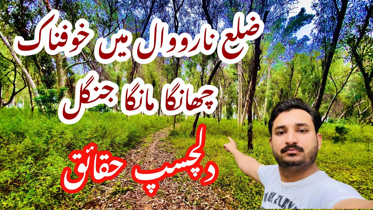 A Horrible Forest in District Narowal || Interesting facts ||  Vlogs by Sherazi Noor Official ||