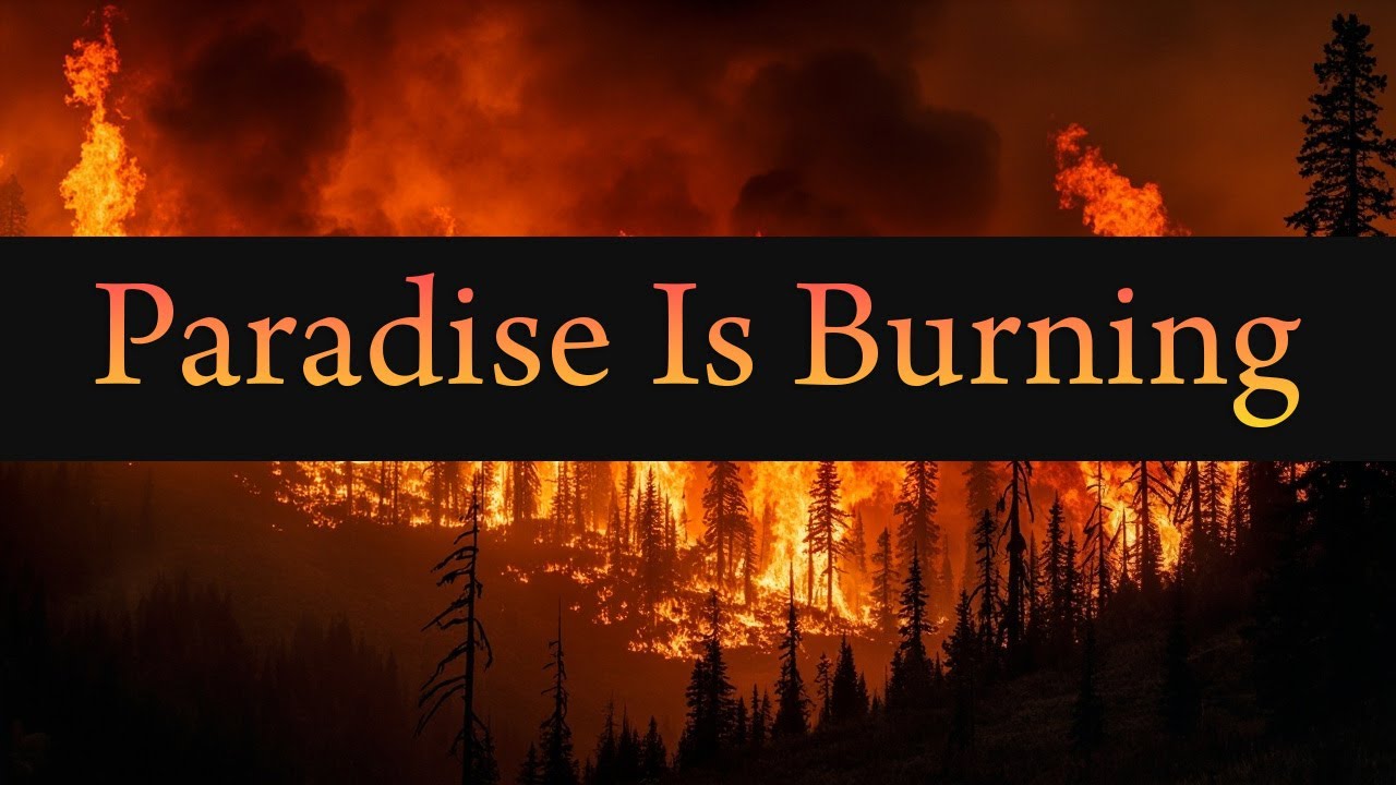 Paradise Is Burning