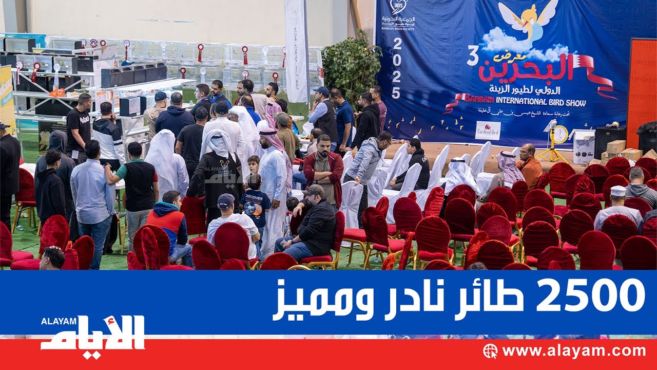 معرض البحرين الدولي للطيور 3 يستعرض أكثر من 2500 طائر نادر ومميز