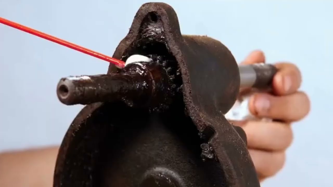Restoration of the rusty bumblebee