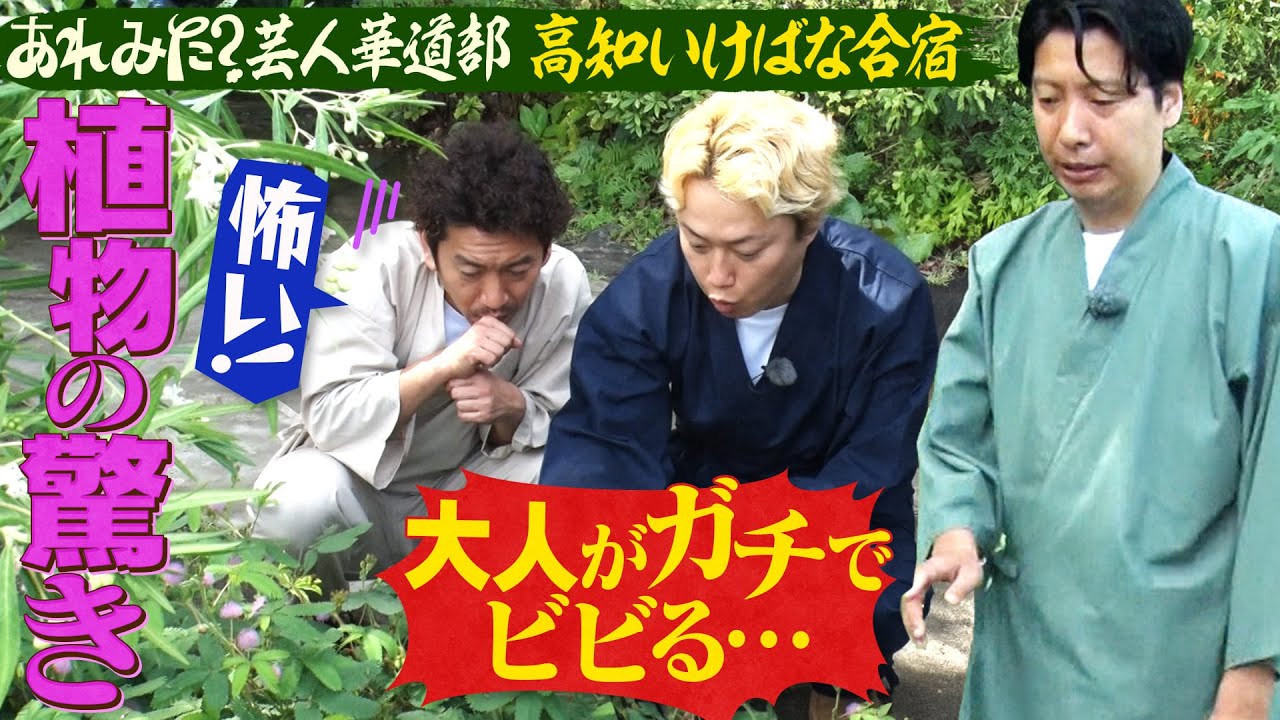 【あれみた？芸人華道部】《高知合宿第3弾》最高傑作をいける！？
