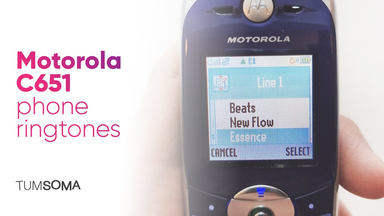 Motorola C651 - Phone Ringtones ASMR