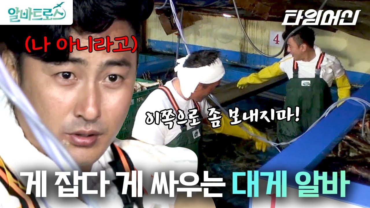게쩌는 대게 알바🦀 게 까대다 케미 터진 안정환 X 추성훈의 대게 상하차부터 손질까지 풀코스 알바! | 알바트로스