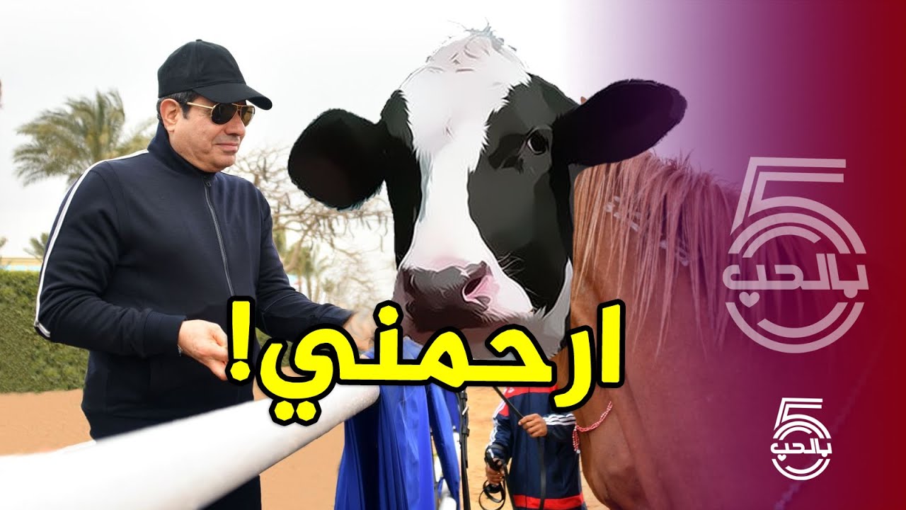 هو إنت خلصت على البشر وجاي تدخل على البقر!! || خمسة بالحب