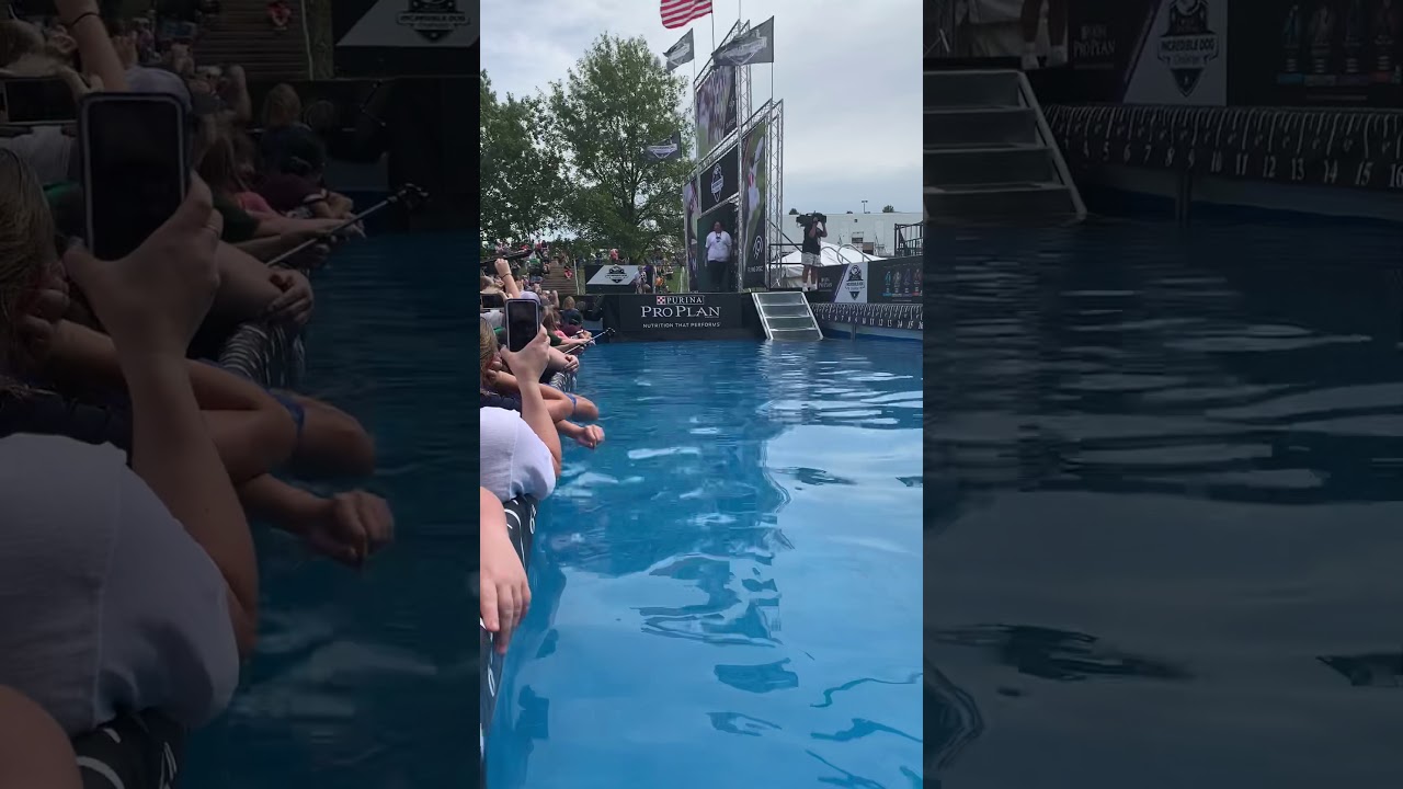 Purina Dog Challenge 9-28-19