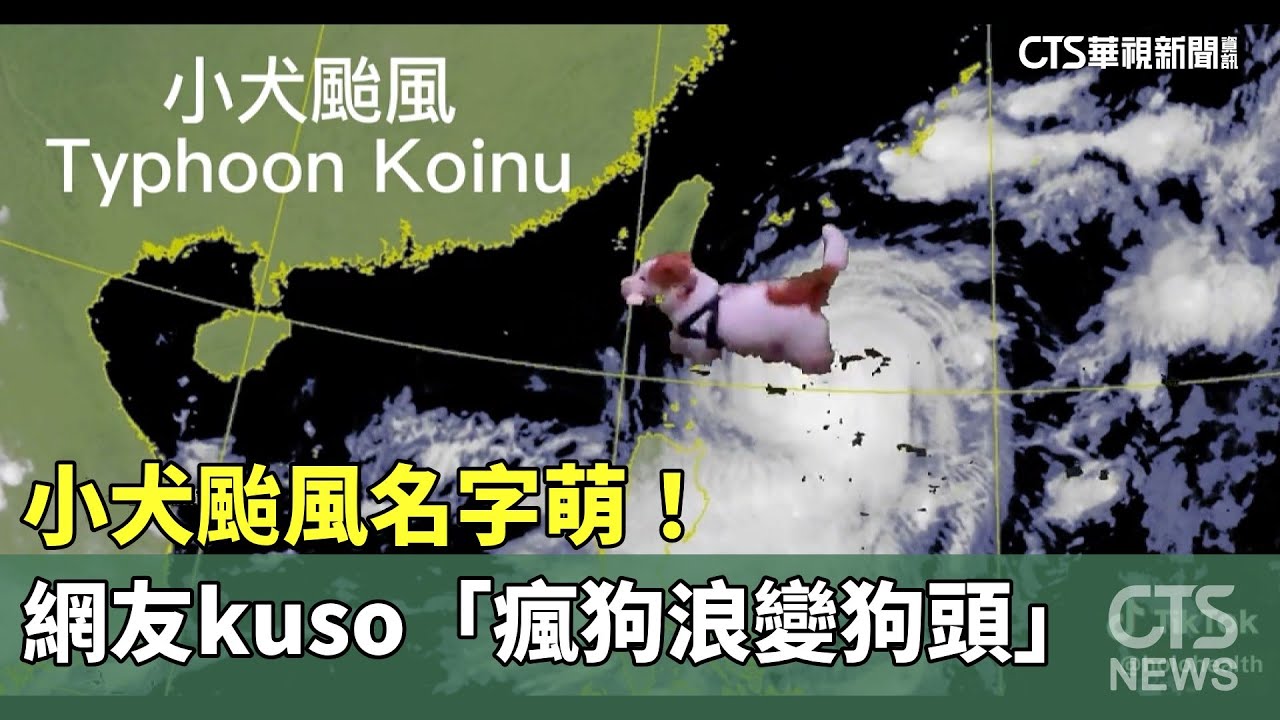 小犬颱風名字萌！　網友kuso「瘋狗浪變狗頭」｜華視新聞 20231004