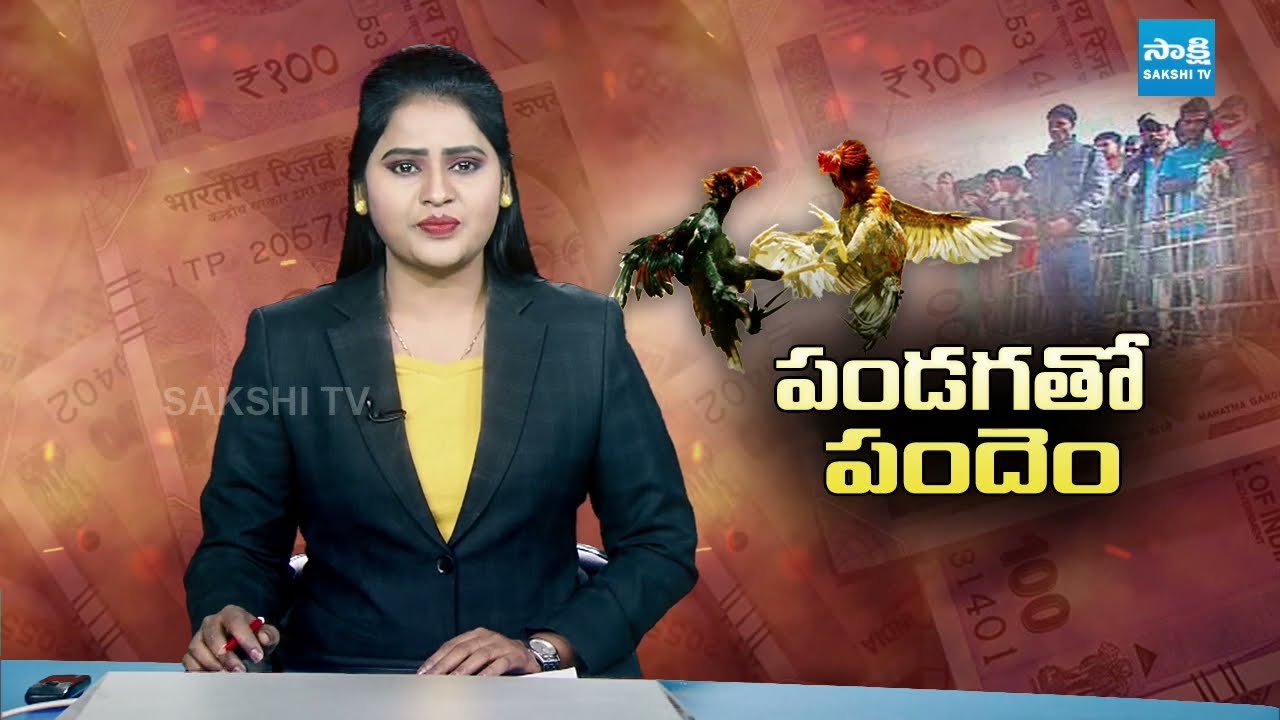 TDP Leaders Preparing for Cock Fight and Gambling in Sankranthi Celebrations | Bhimavaram| Sakshi TV