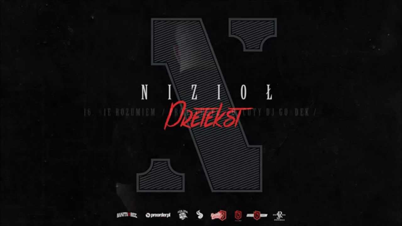 Nizioł - Nie rozumiem