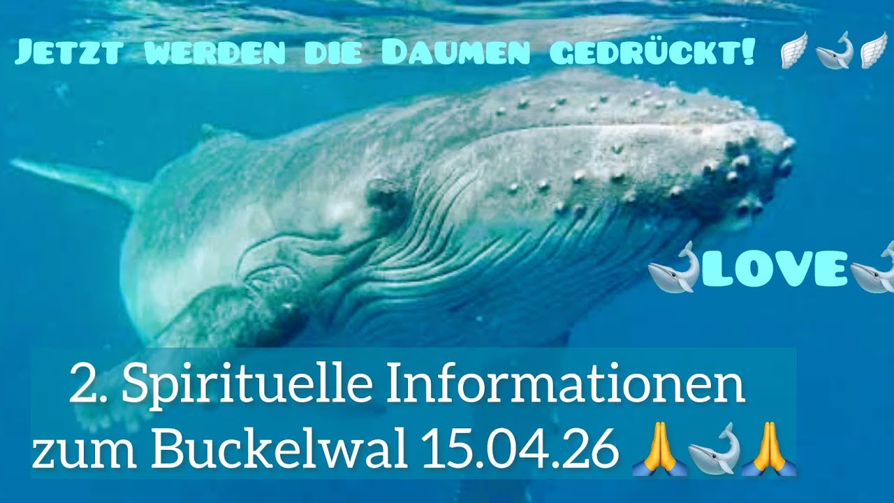 Jetzt werden die Daumen gedr&uuml;ckt! 💓🐋💓