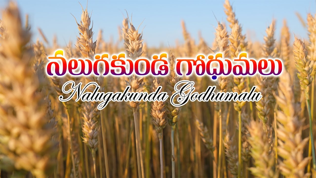 నలుగకుండ గోధుమలు | Nalugakunda Godhumalu #drpsatishkumar #jesussongstelugu #calvarymusic2935