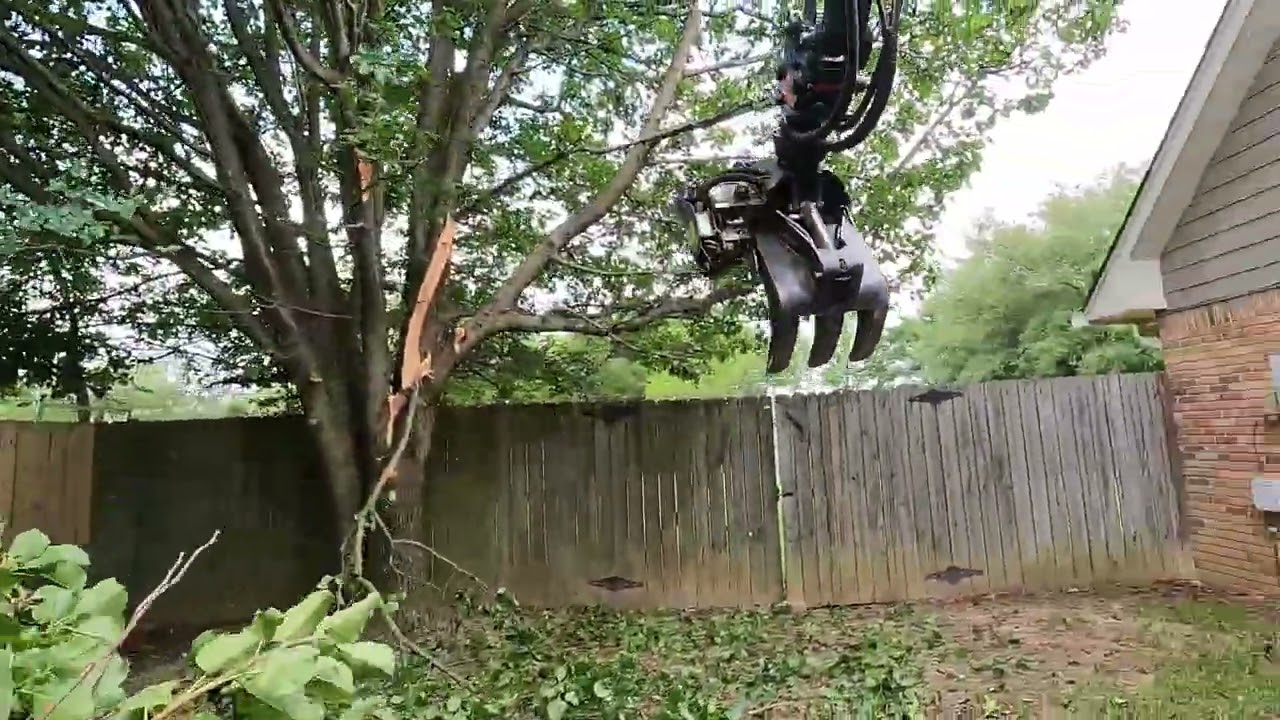 Removing Bradford Pears the easy way