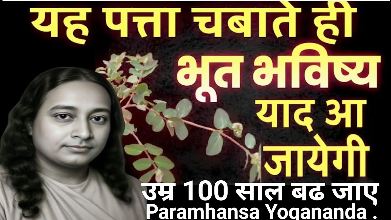इस पत्ते को सूंघने से आपको अपने जीवन की सारी बातें याद आ जाएंगी। Paramhansa Yogananda .