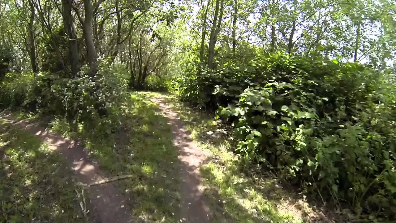 Mtb spaarnwoude zwarte route (summer)