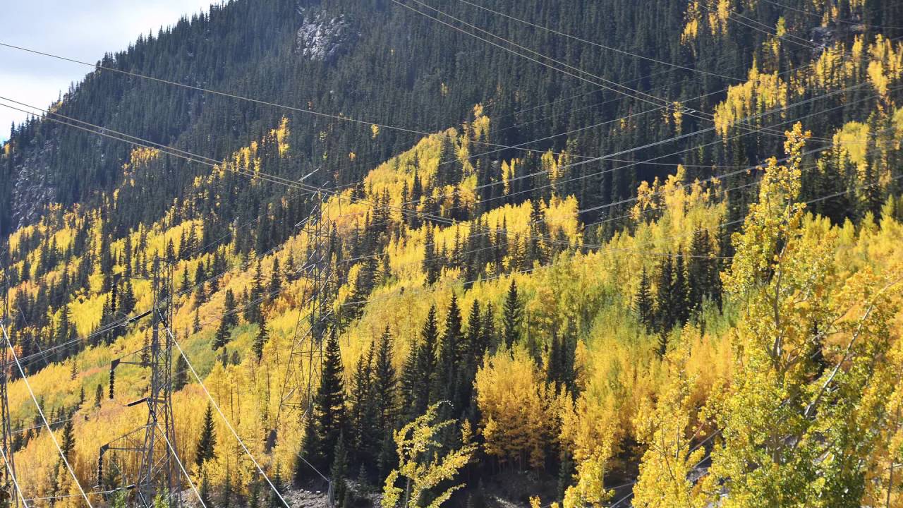 2016 Guanella Pass, Colorado by A. Lerner