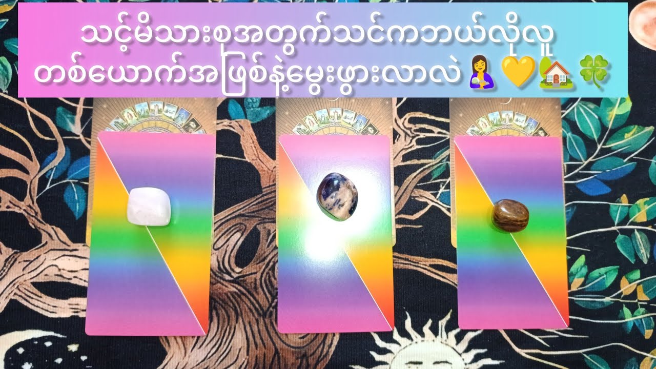 🌻What kind of person were you bon?🌻ဘယ်လိုလူတစ်ယောက်အဖြစ်မွေးဖွားလာလဲ#youtube #tarot #family